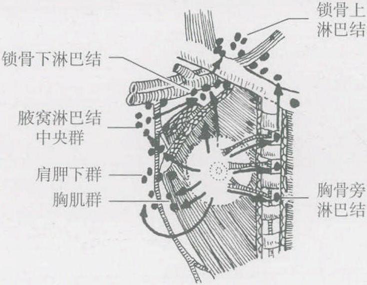 第一節(jié) 概述